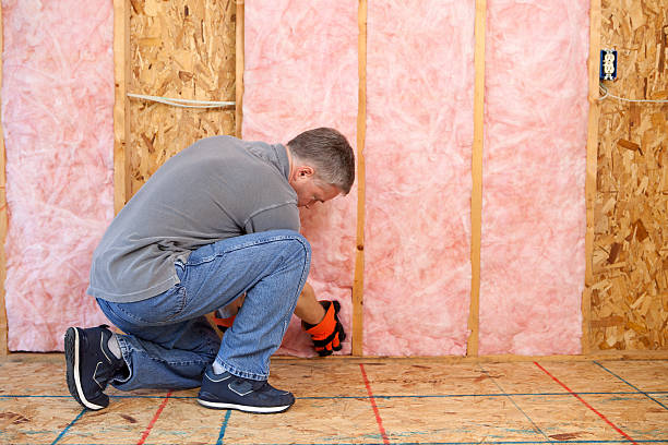 Best Insulation Replacement Services  in Walford, IA